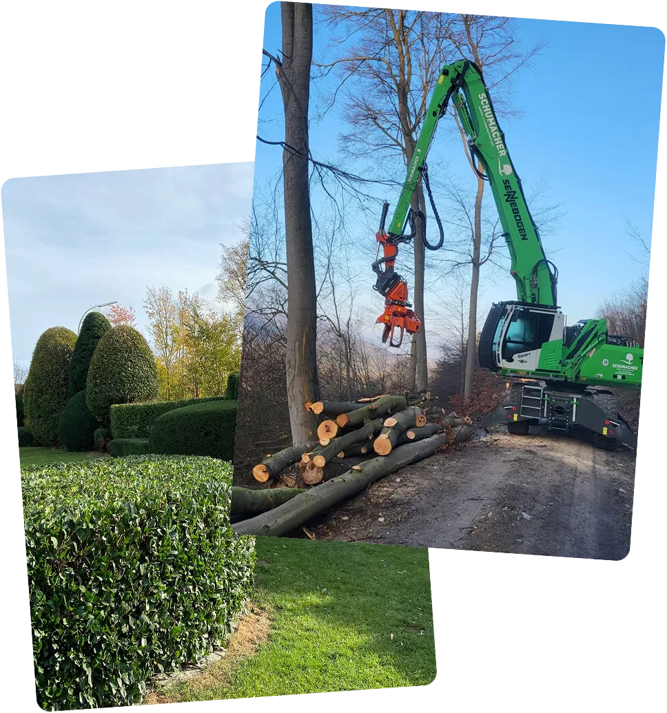 Collage von Arbeitsbeispielen der Schumacher Garten- und Landschaftspflege