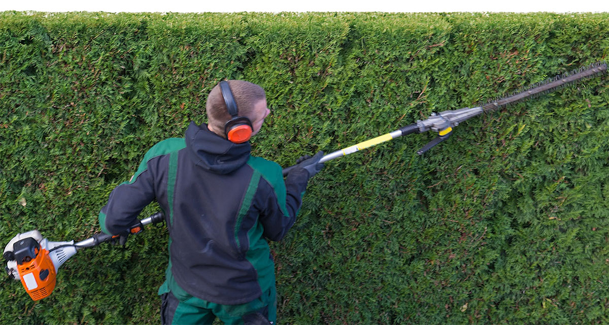 Mitarbeiter beim Heckenschnitt