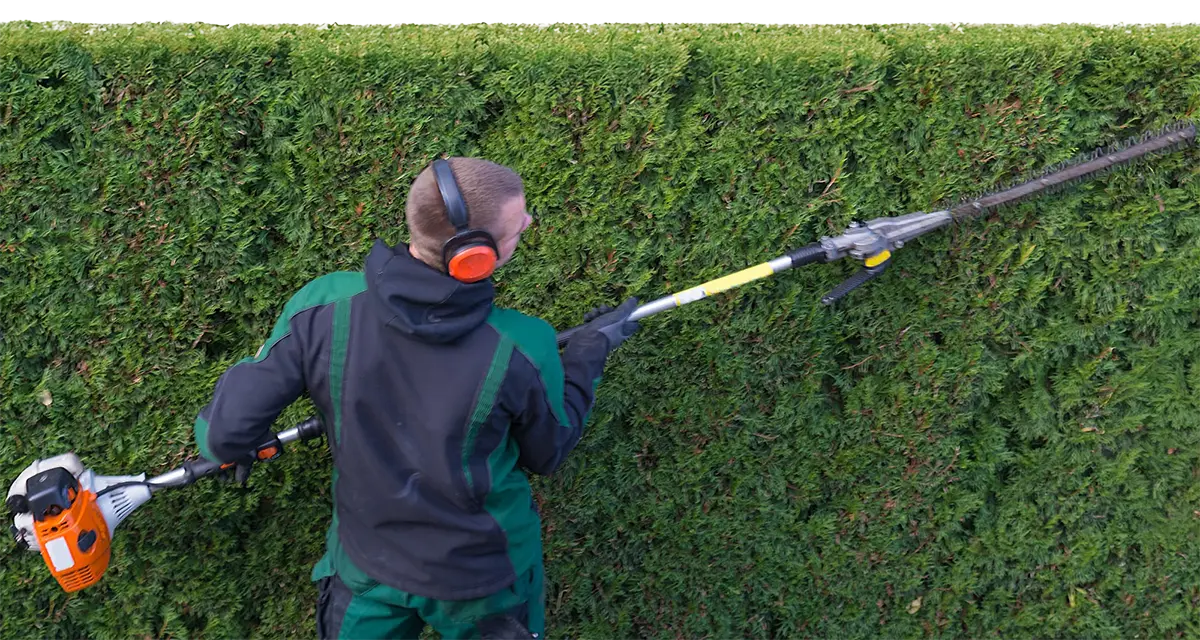 Mitarbeiter beim Heckenschnitt