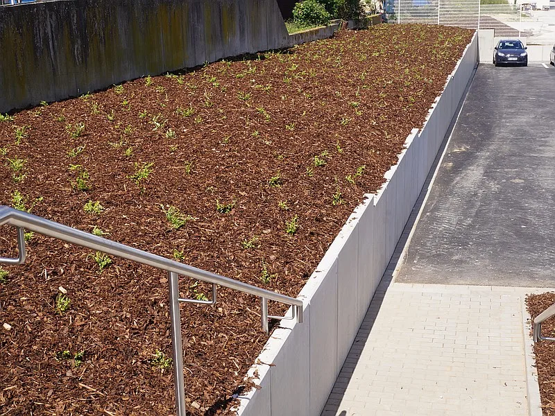 Bepflanzungsbeispiel Bremer in Paderborn