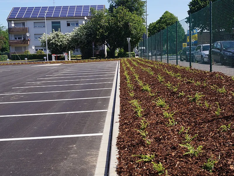 Bepflanzungsbeispiel Bremer in Paderborn