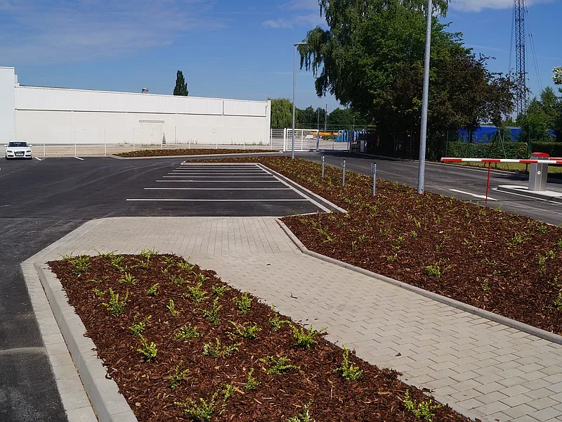 Bepflanzungsbeispiel Bremer in Paderborn