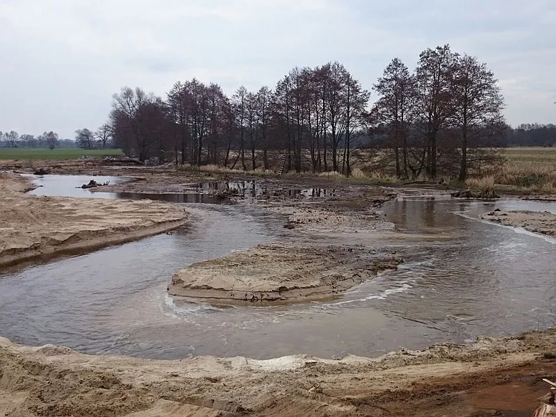 Renaturierung der Ems