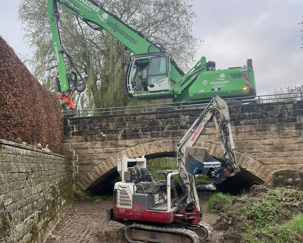 Fäll- und Rodungsarbeiten im Sauerland