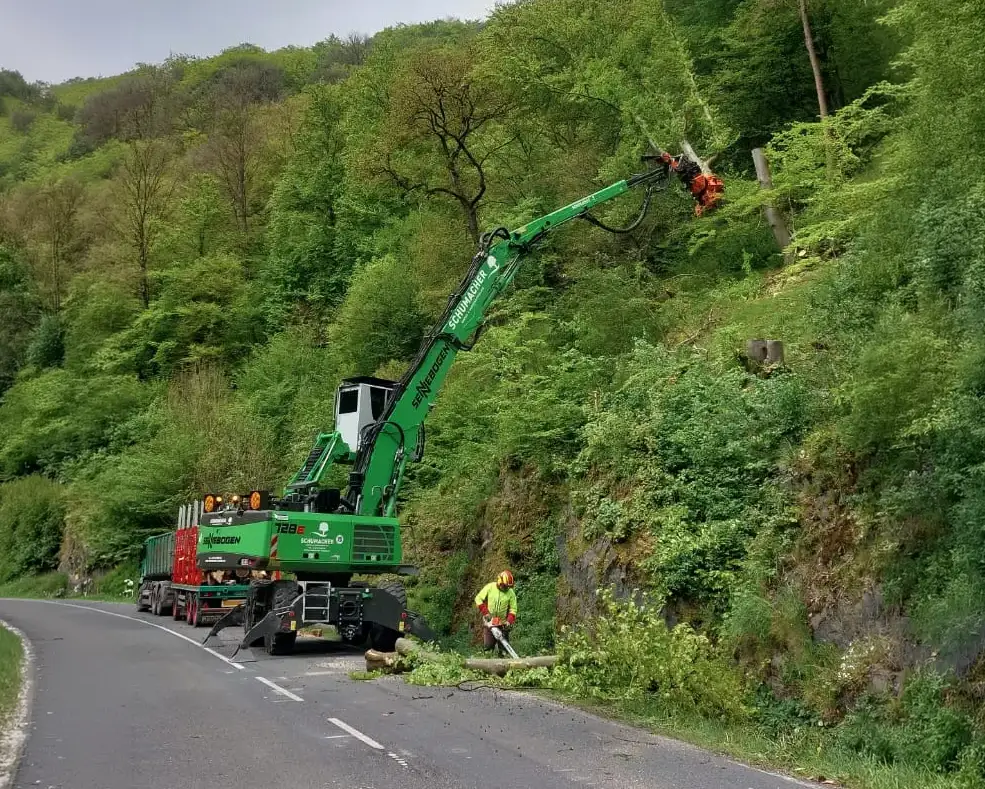 Fällarbeiten im Hochsauerlandkreis sind für uns auch an komplexen Stellen problemlos möglich