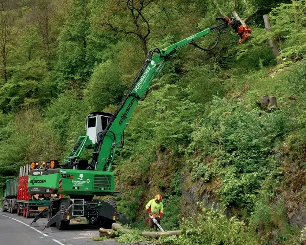 Fäll- und Rodungsarbeiten im Sauerland