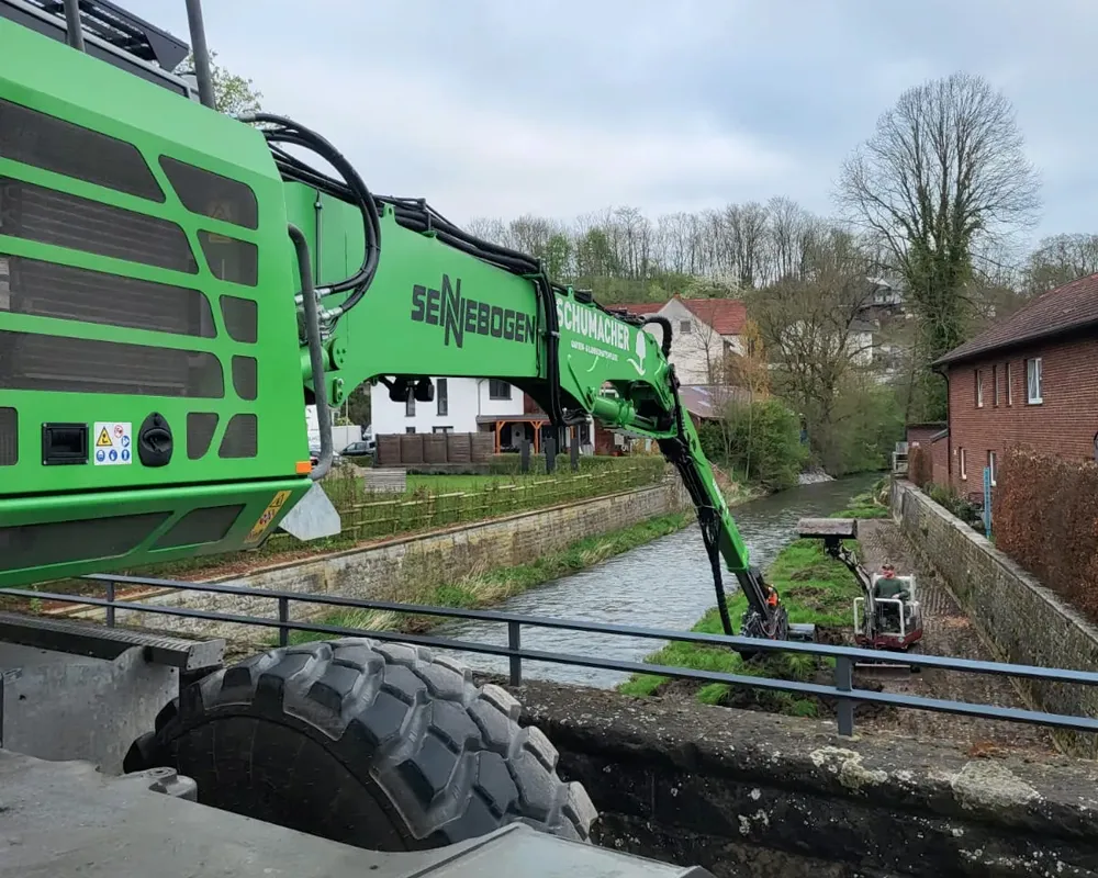 Fäll und Rodungsarbeiten