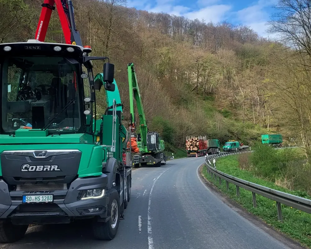 Fäll und Rodungsarbeiten