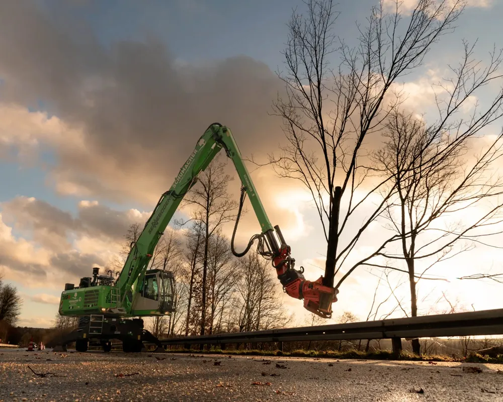 Fäll- und Rodungsarbeiten im Münsterland