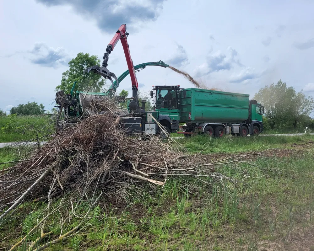 Fäll- und Rodungsarbeiten in Ostwestfalen